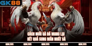 Cách Nuôi Gà Đá Mang Lại Kết Quả Sung Mãn Nhất Sà