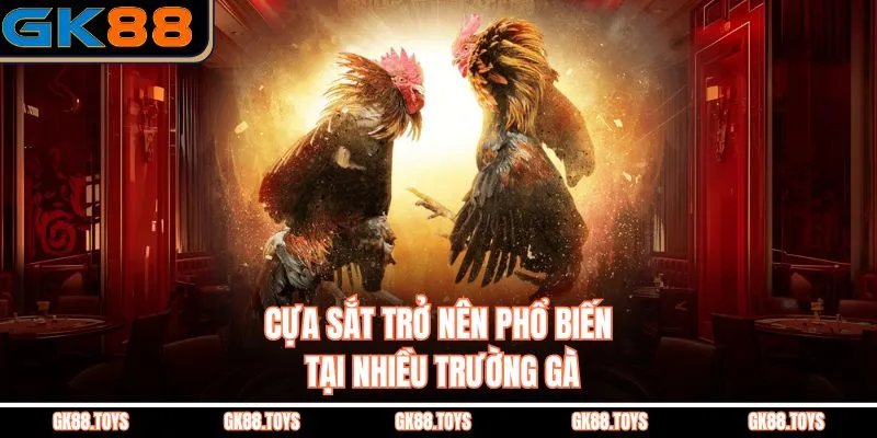 Cựa Sắt trở nên phổ biến tại nhiều trường gà