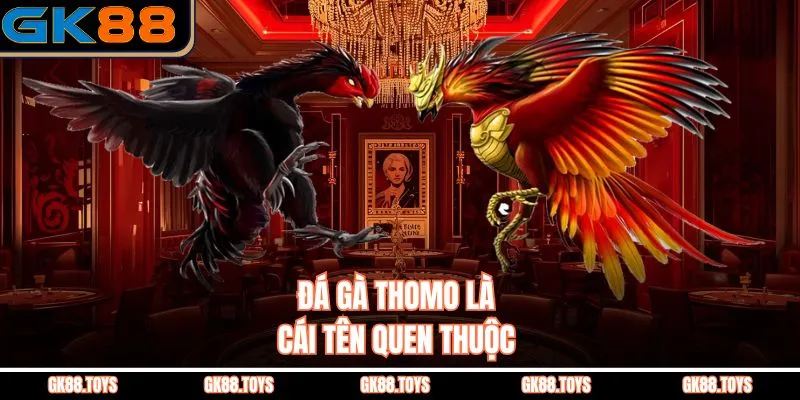 Đá Gà Thomo là cái tên quen thuộc