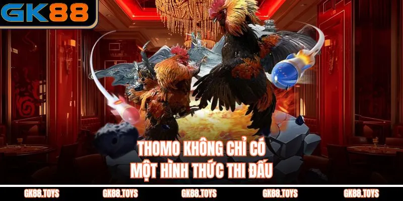 Thomo không chỉ có một hình thức thi đấu